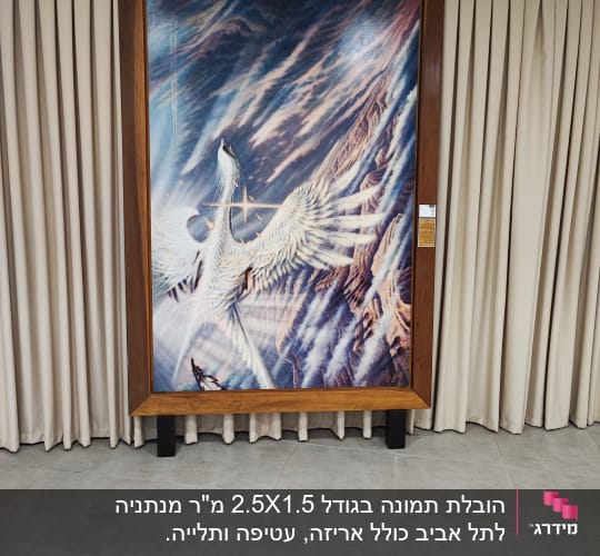 תמונה של עוף דורס בתנועה עם כנפיים פרושות